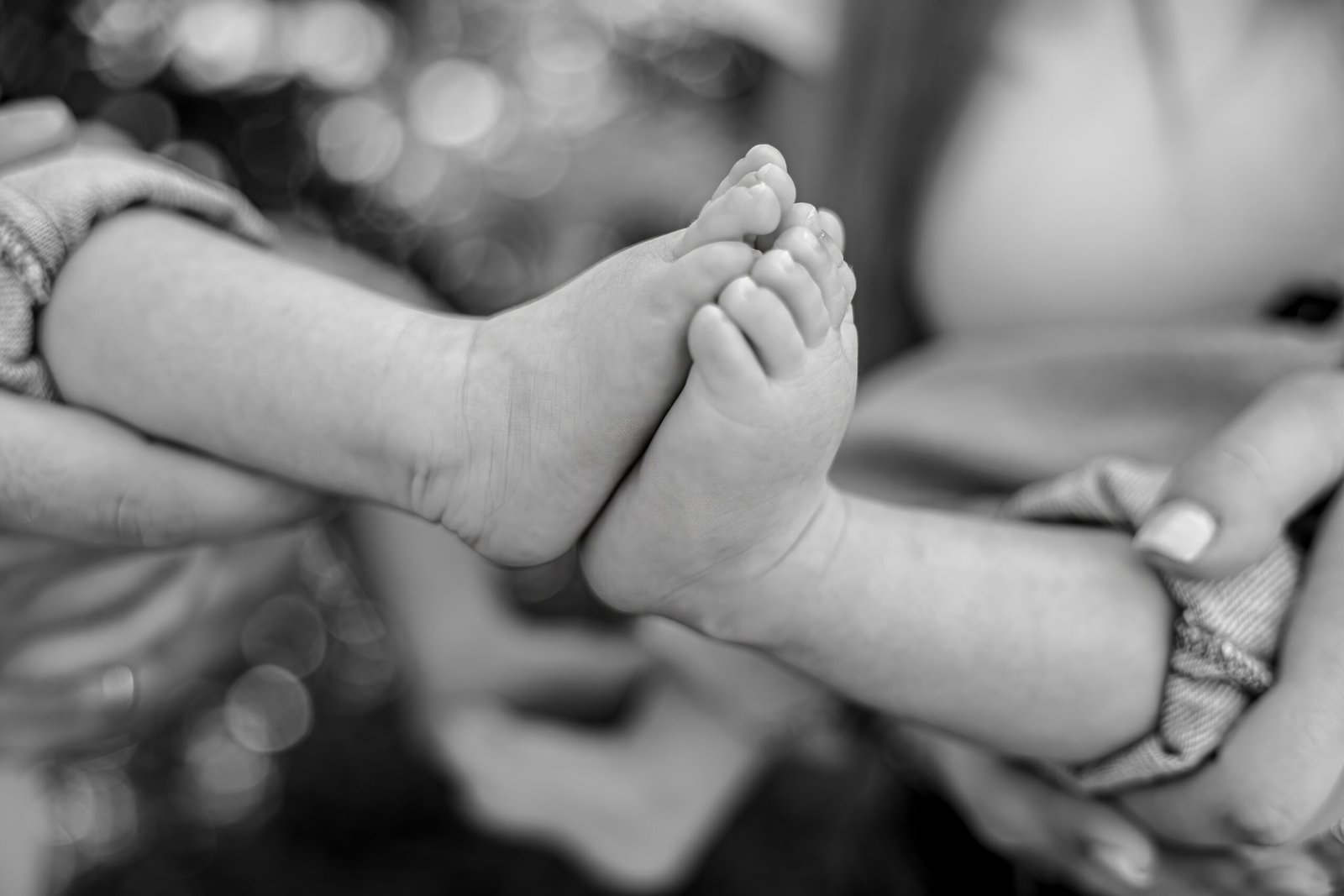 IMG_1840-2-2